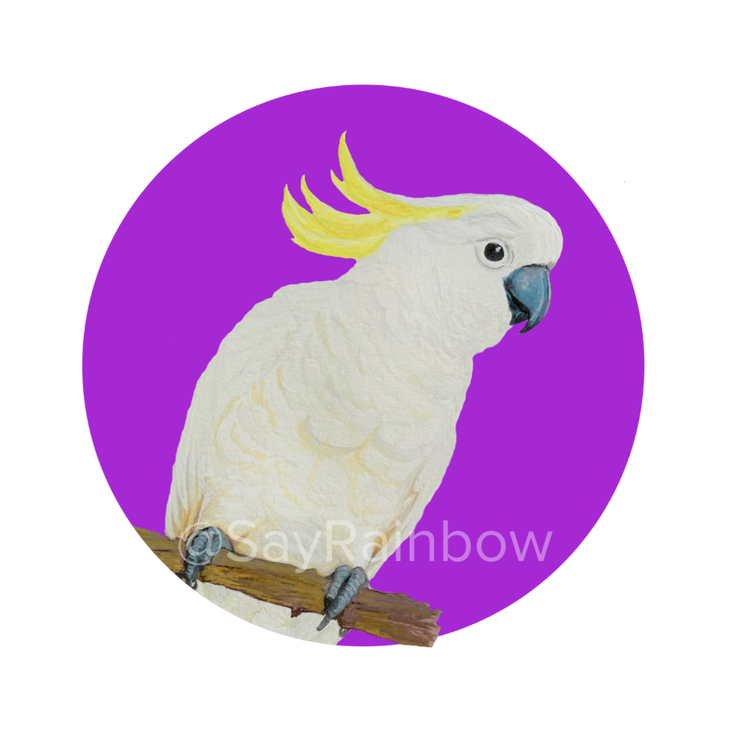 Say Rainbow Card - Sulfur Crested Cockatoo