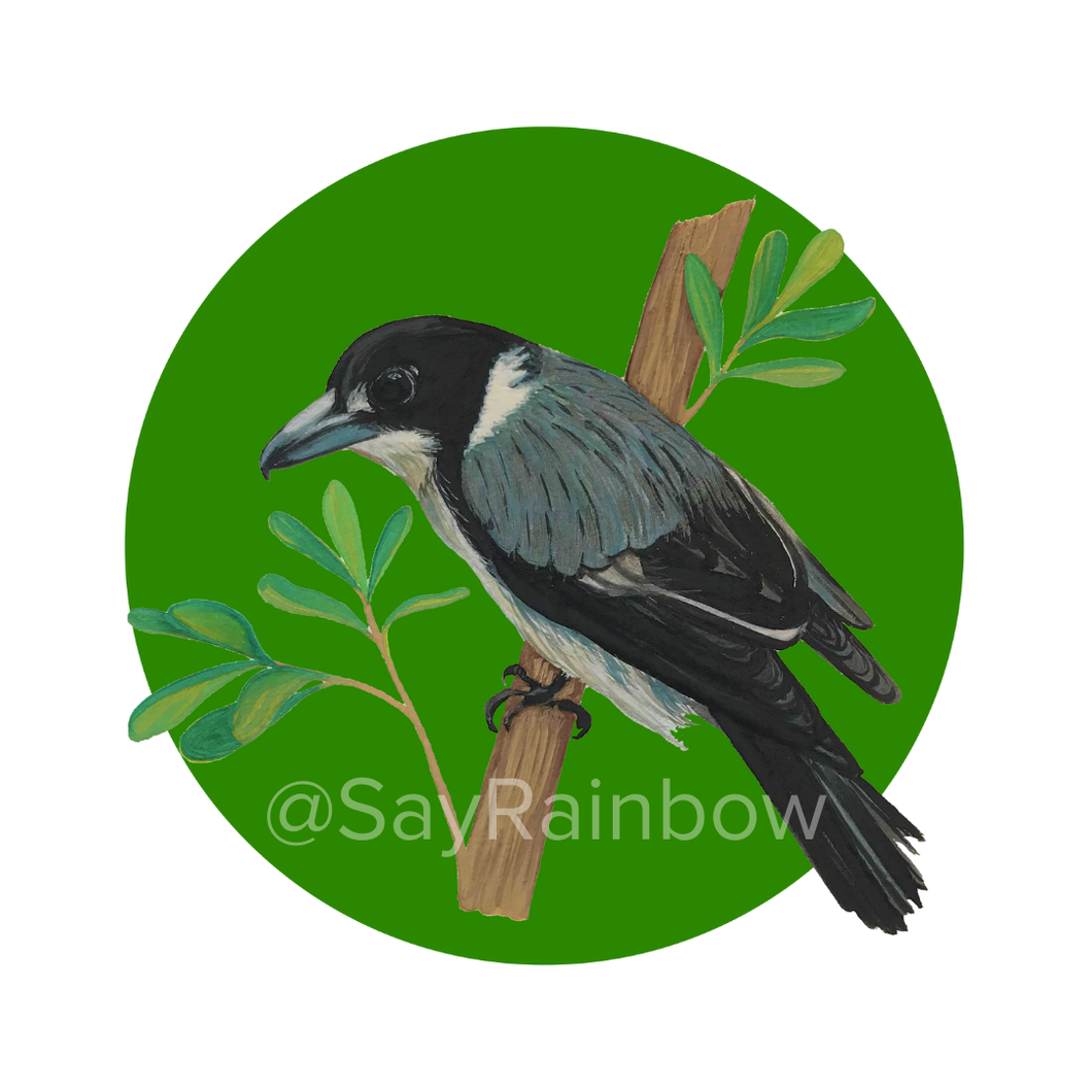 Say Rainbow Card - Grey Butcherbird