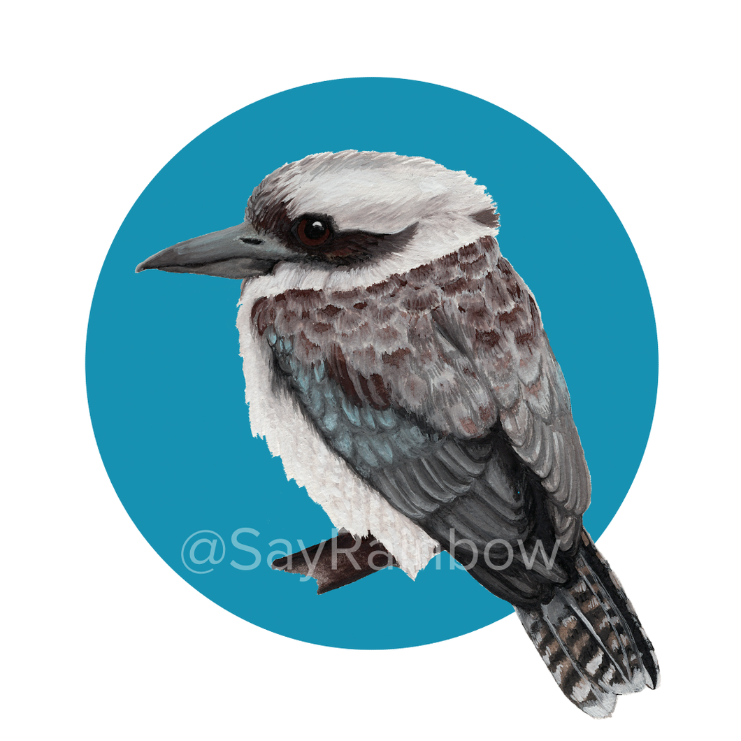 Say Rainbow Card - Laughing Kookaburra