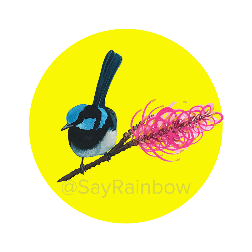 Say Rainbow Card - Superb Fairy Wren