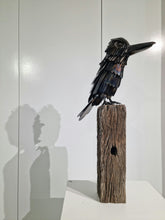 Load image into Gallery viewer, Kookaburra
