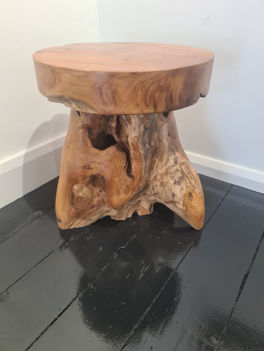 Teak Root Mushroom (Stool)