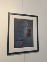 Load image into Gallery viewer, Black Cockatoo
