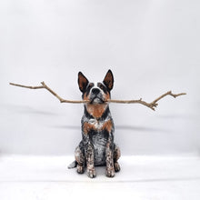 Load image into Gallery viewer, Australian Cattle Dog
