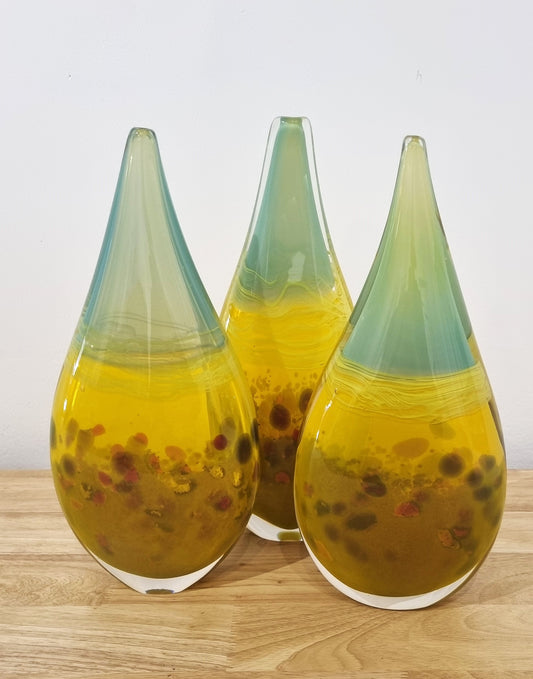 Coral Studies (series)