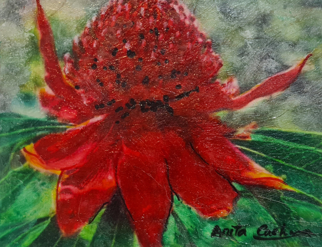 Hand-painted card - Waratah 1