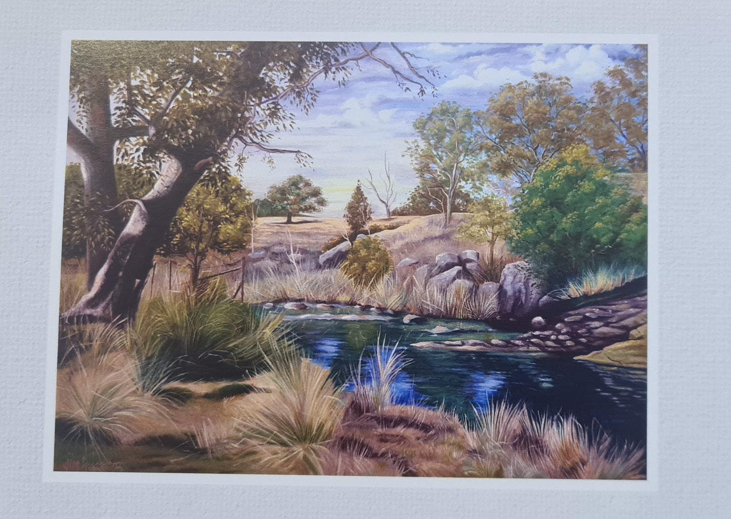 Gift Cards by Jim Preece