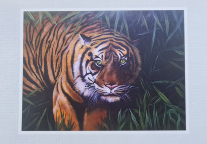 Gift Cards by Jim Preece