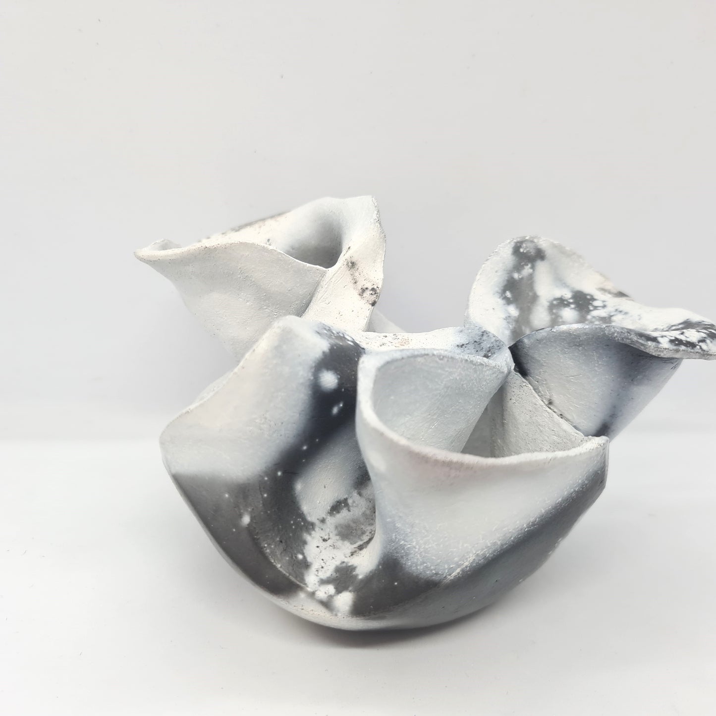 Black & White Flower