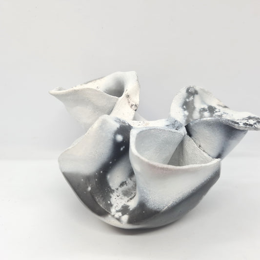 Black & White Flower