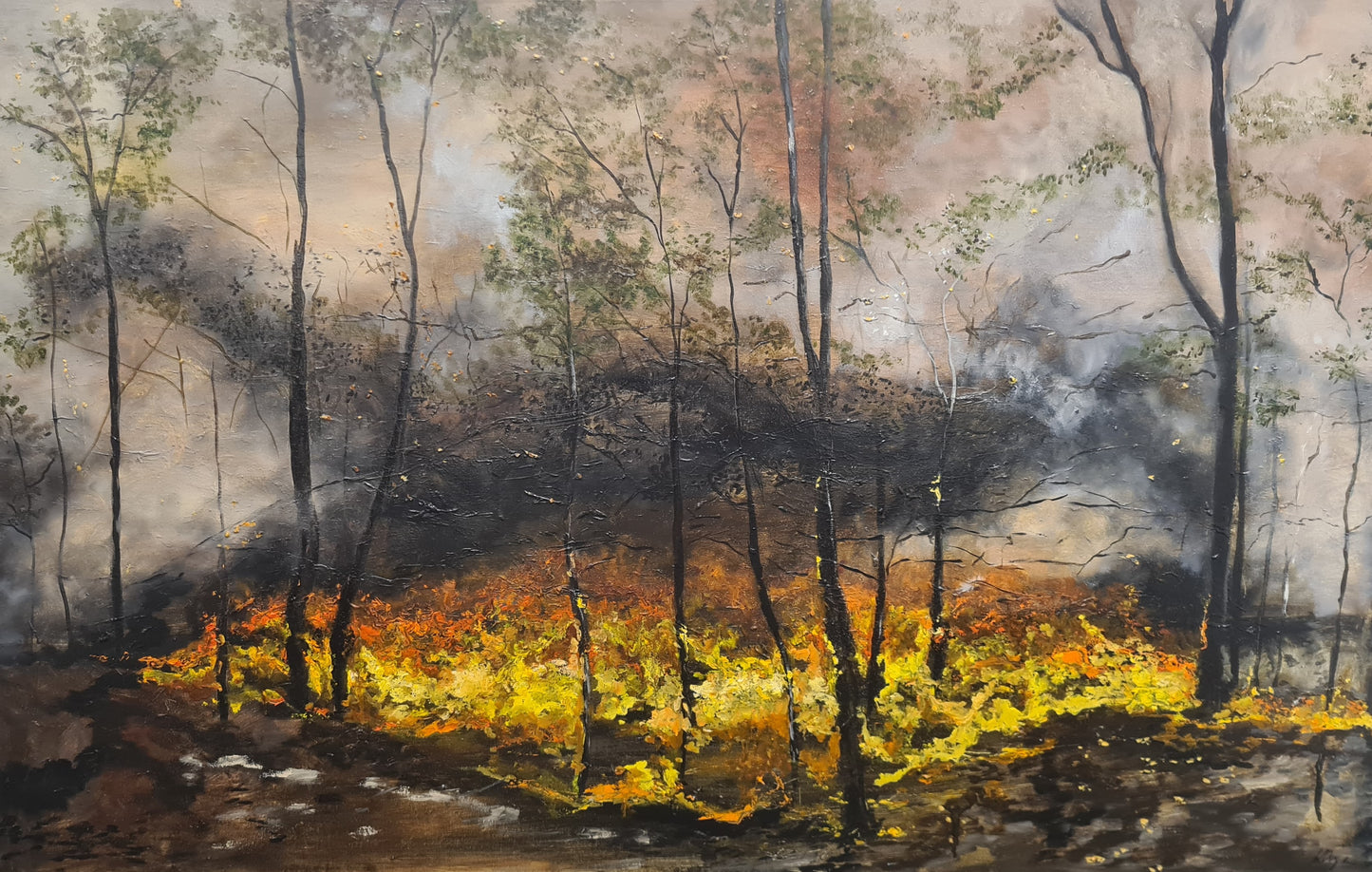 The Day The Sky Burned