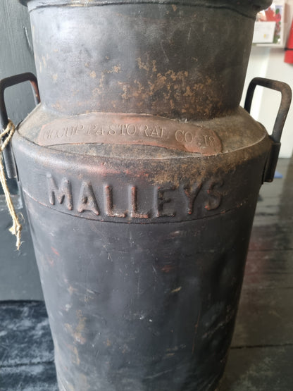 Rare Vintage 10-Gallon Malley Milk Can - Stamped "Gocup Pastoral Co. 18" (55cm high)