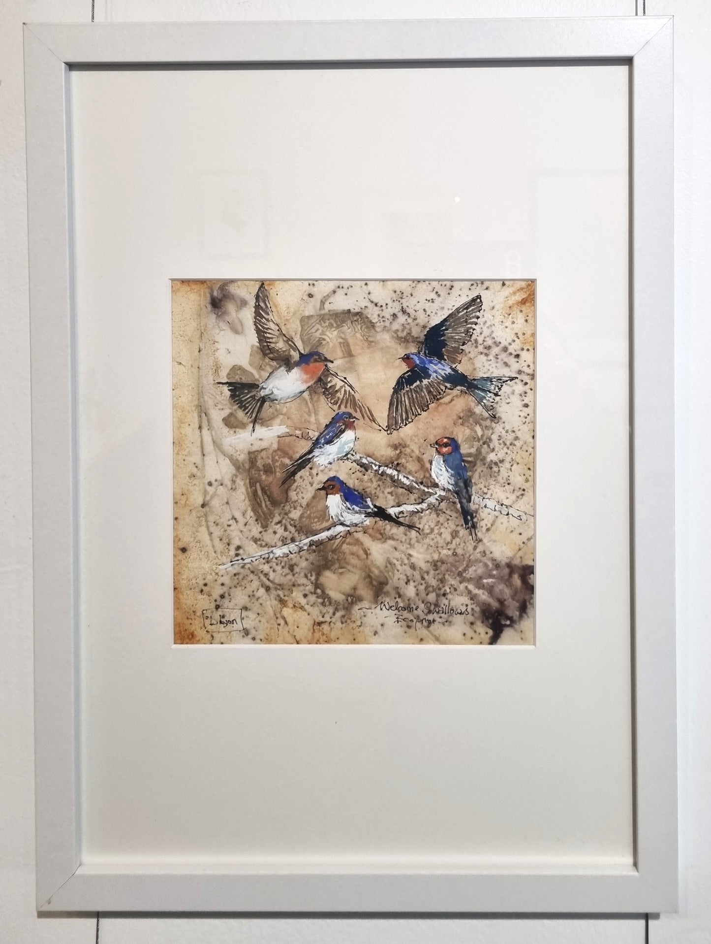 Welcome Swallows