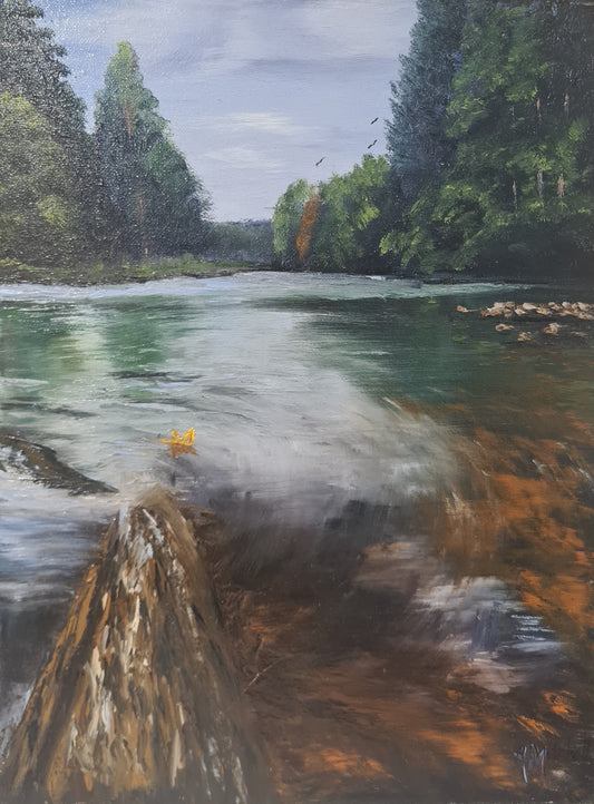 Fallen Leaf on Grose River
