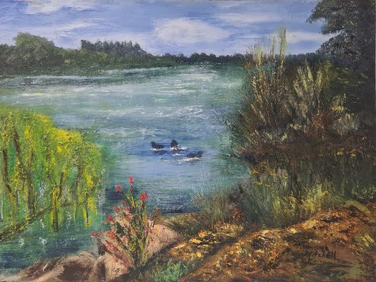 Duck Pond, Pughs Lagoon