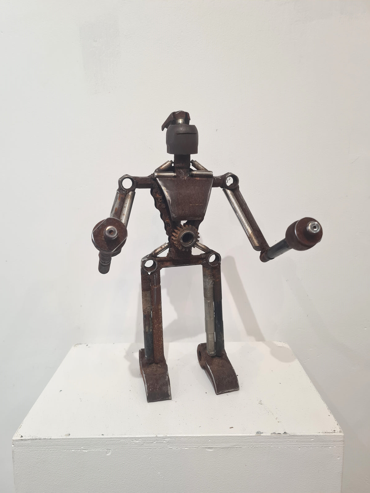 Robot