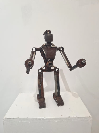 Robot