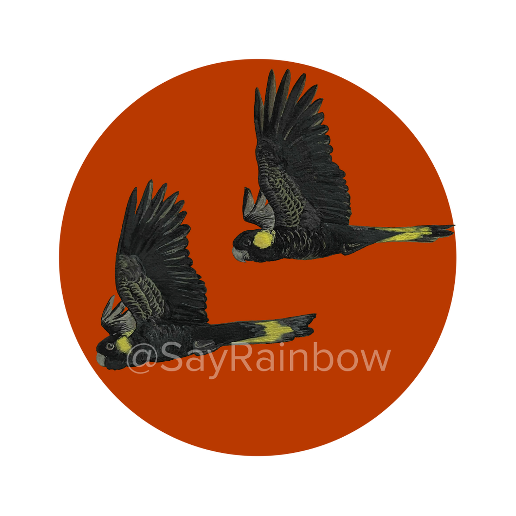 Say Rainbow Card - Yellow Tailed Black Cockatoos