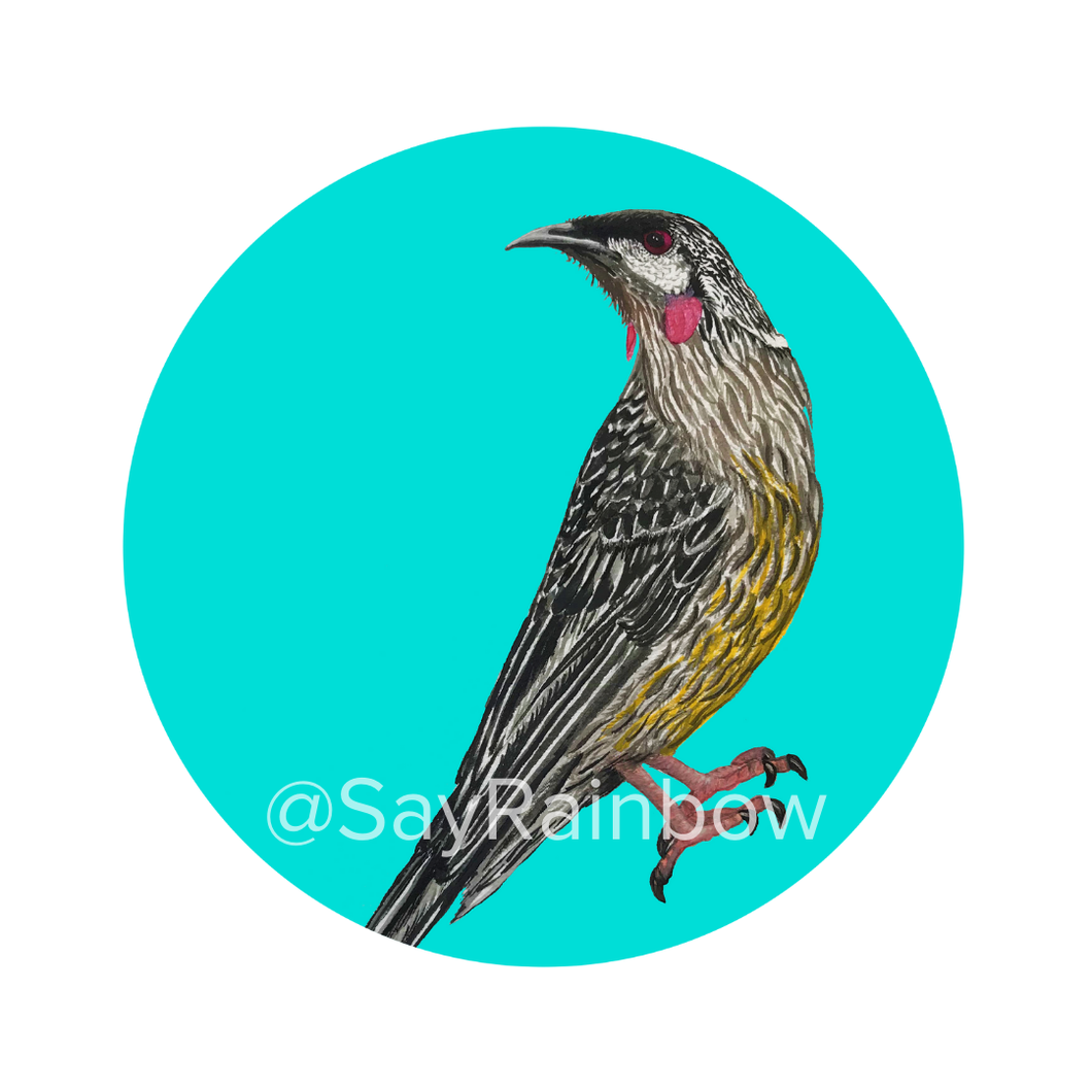 Say Rainbow Card - Red Wattlebird