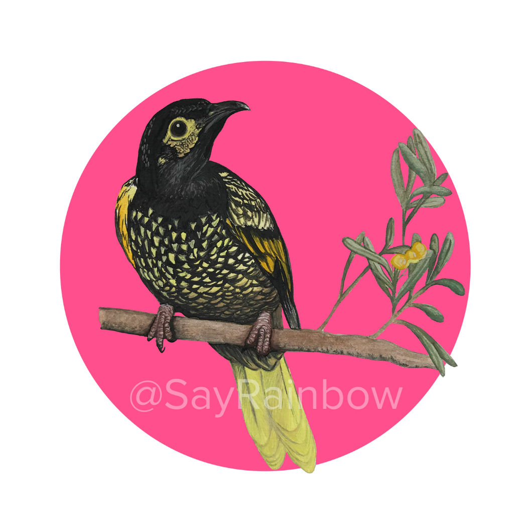 Say Rainbow Card - Regent Honeyeater