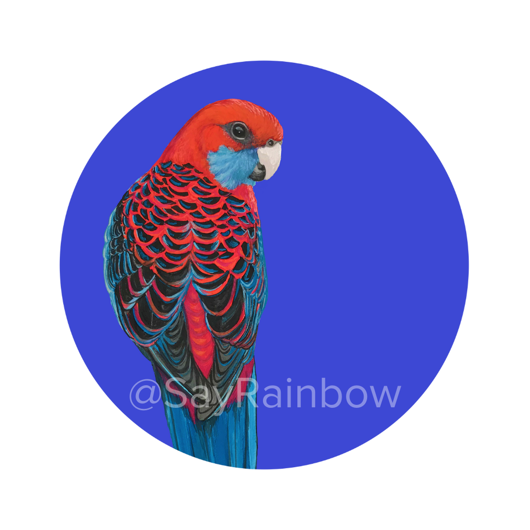 Say Rainbow Card - Crimson Rosella