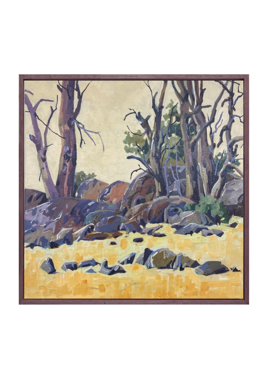 Granite on the Monaro