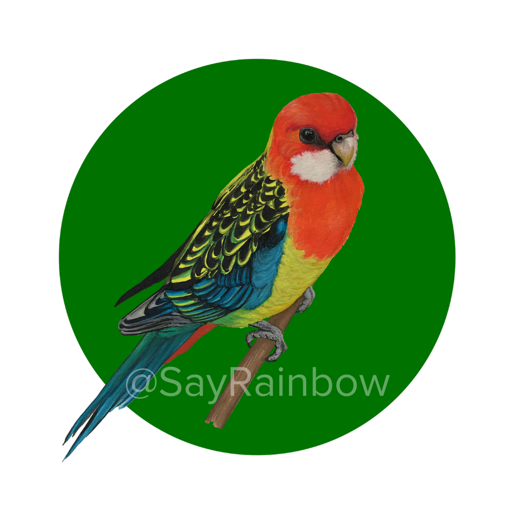 Say Rainbow Card - Eastern Rosella