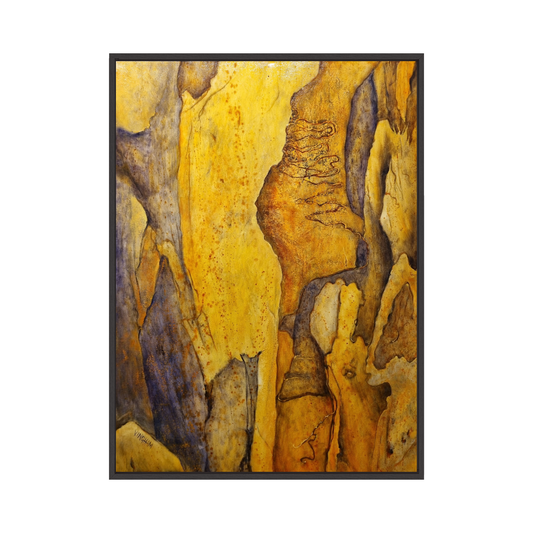 Centurian and Damsels