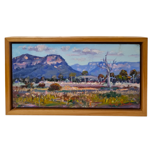 Afternoon in Capertee Valley NSW