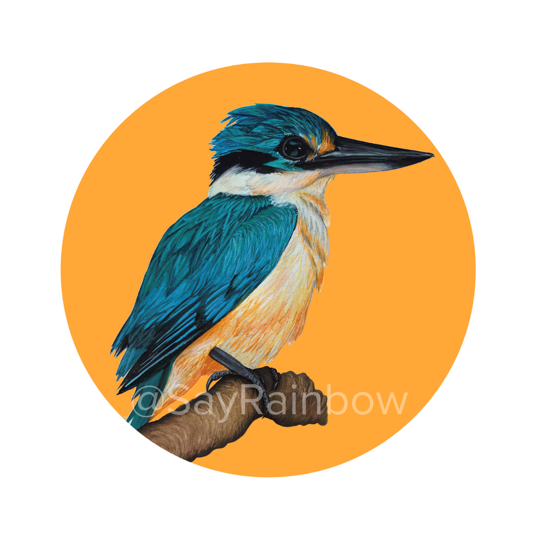 Say Rainbow Card - Sacred Kingfisher