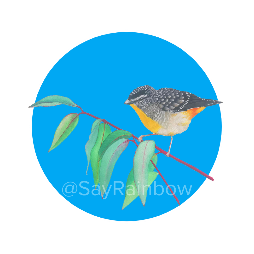 Say Rainbow Card - Spotted Pardalote