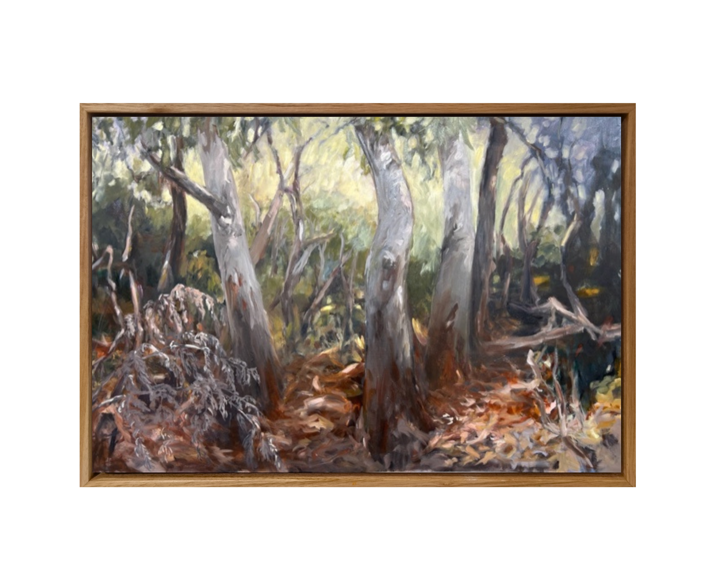 A Walk Along the Fairfax Track