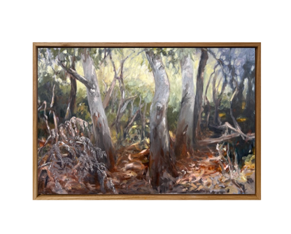 A Walk Along the Fairfax Track