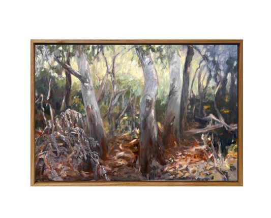 A Walk Along the Fairfax Track