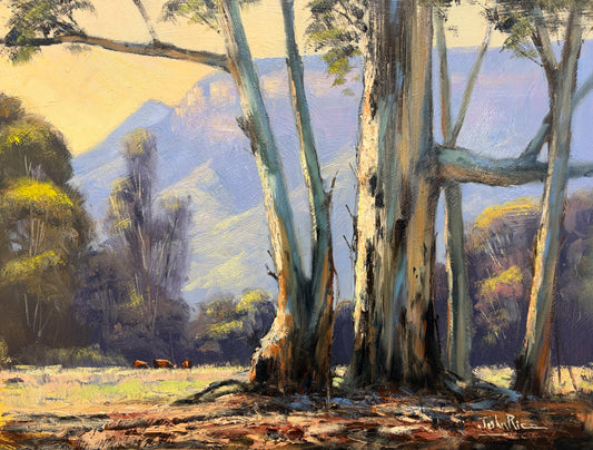 Afternoon In The Valley (Acquired by Nationwide Curating for upcoming promotion)