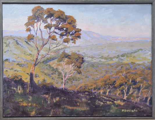 Afternoon Sun's Warmth