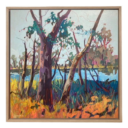 Afternoon Beers on the Murray