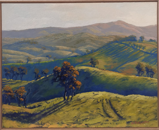 Afternoon shadows and colours