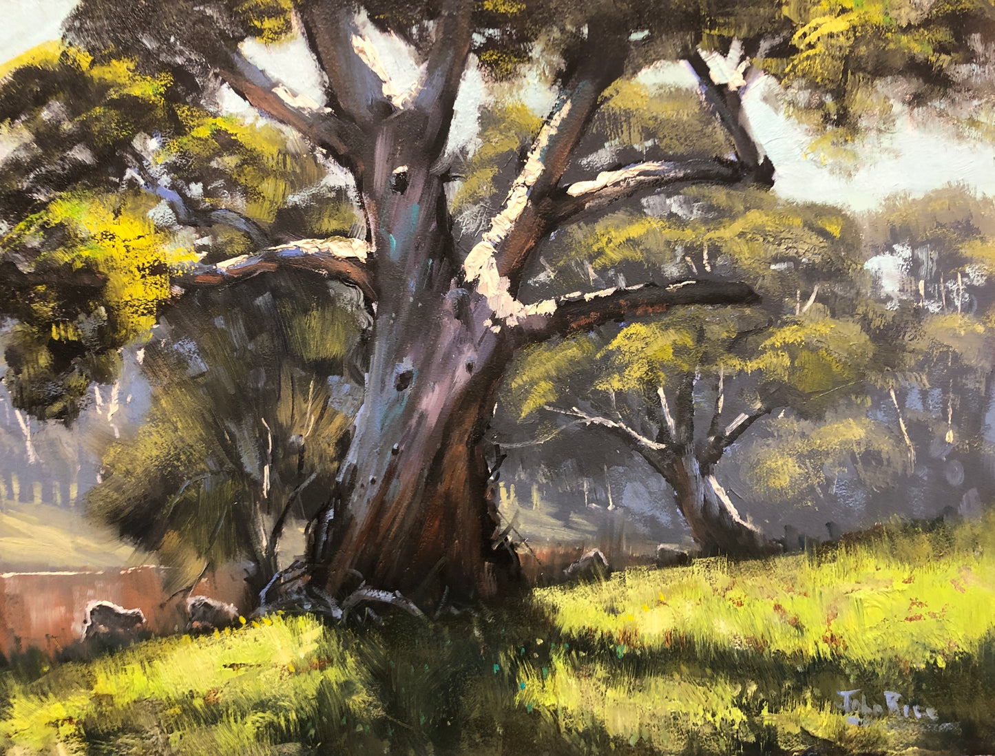Unframed Original Landscapes by John Rice