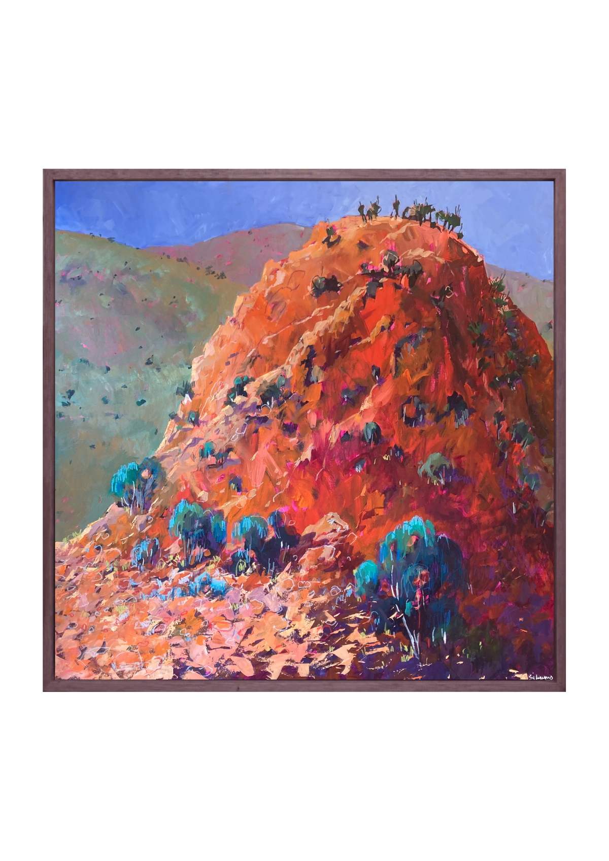 Remembering Arkaroola