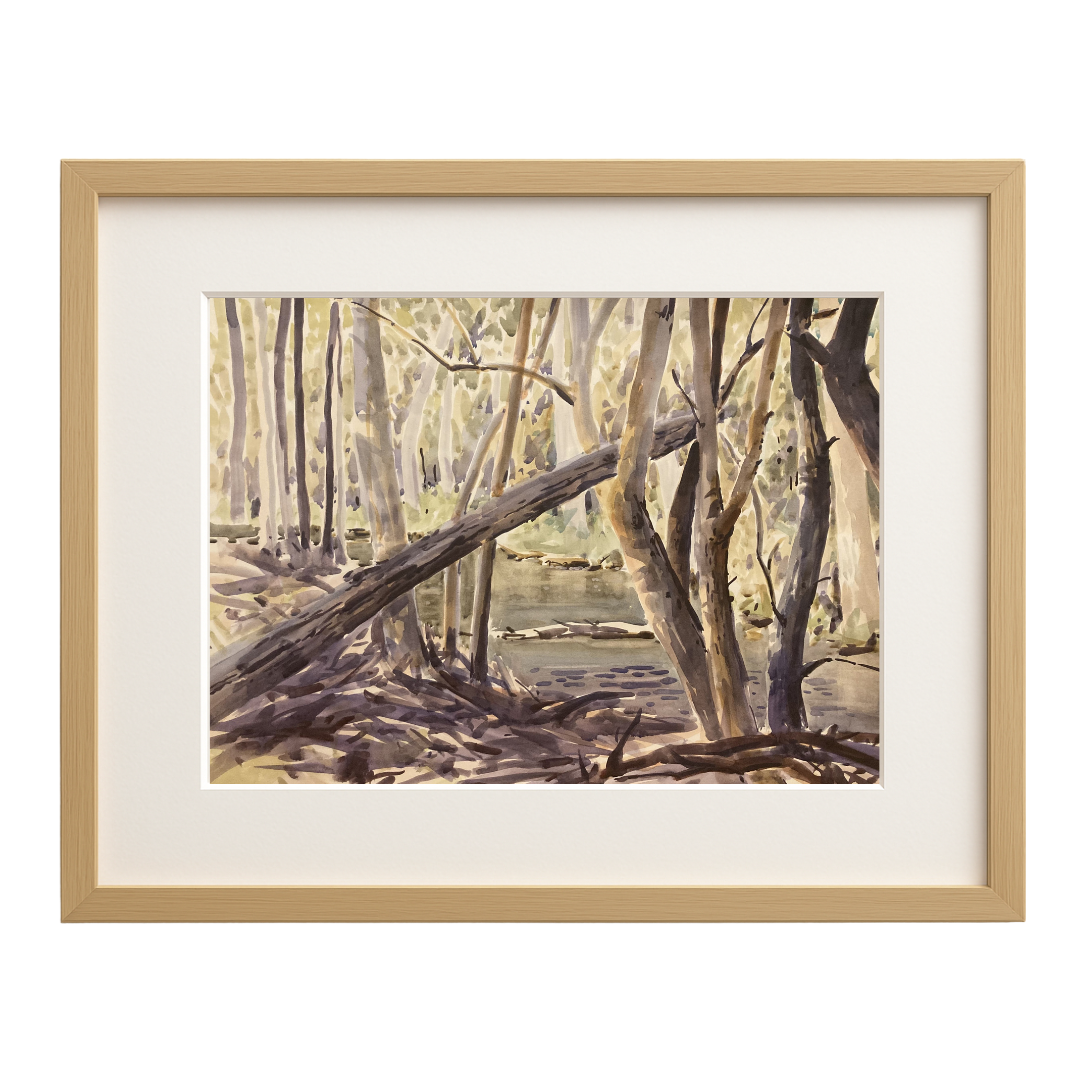 Autumn on the Cotter