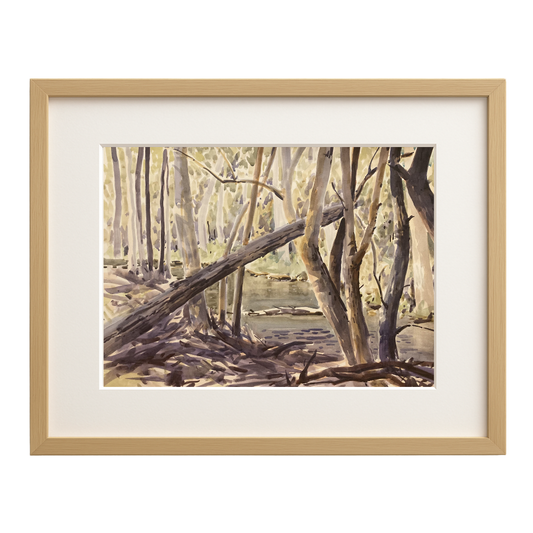 Autumn on the Cotter