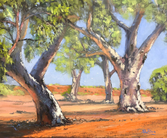 Broken Hill Gums