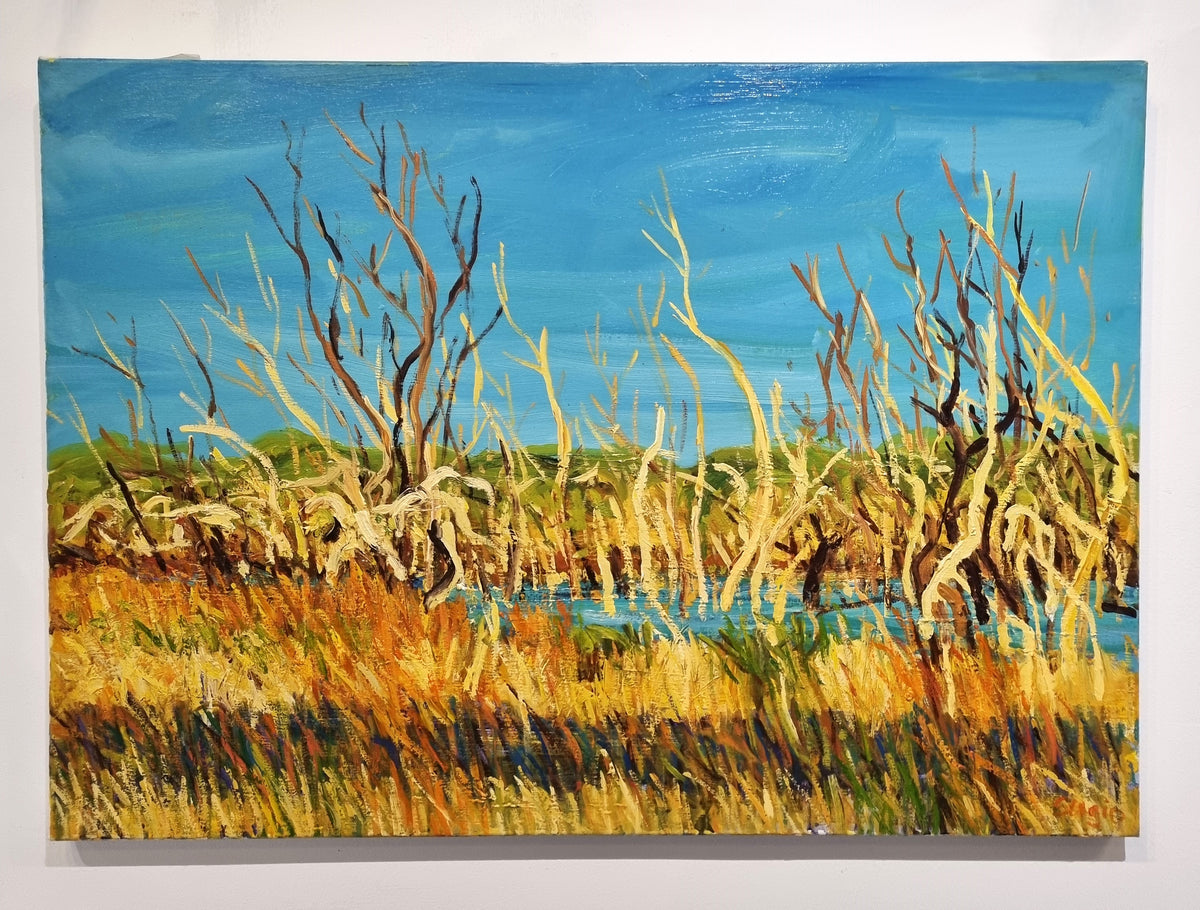 Broken Hill Waterhole