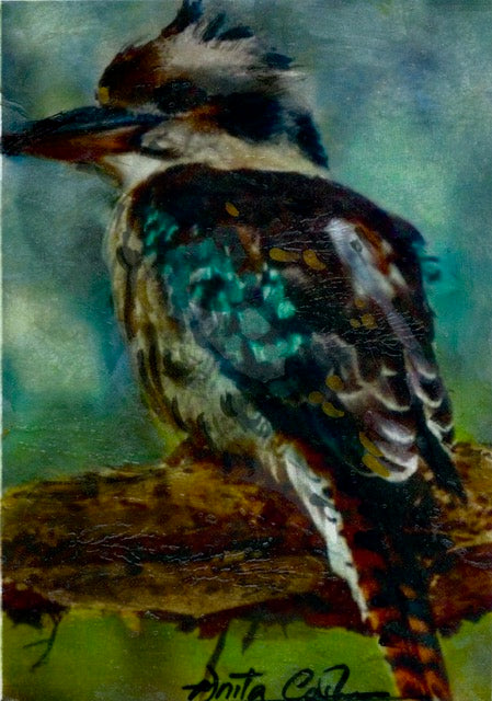 Hand Painted Card - Kookaburra 1