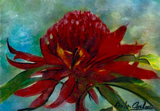 Hand-painted card - Waratah in focus
