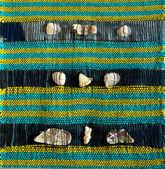 Cats Eyes and Shells