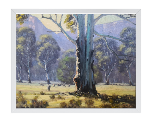 Coorongooba Campsite