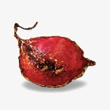 Load image into Gallery viewer, Natures Alchemy (Sold as Individuals or set)
