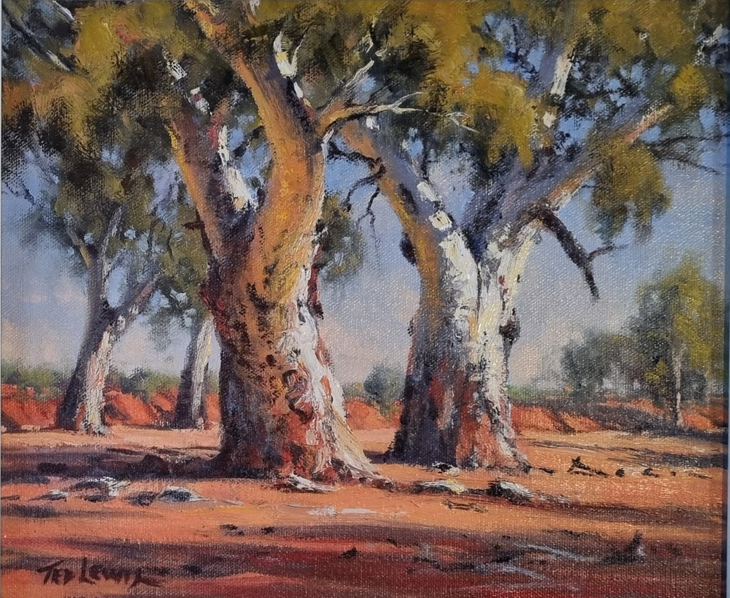 Dry River Gums, Silverton